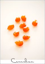 カーネリアン(carnelian)