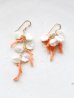 画像1: 14KGF　coral  pearlpierce   (1)