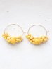 画像1: 14KGF royalamber hooppierce (1)
