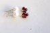 画像4: redgarnet pearl pierce necklace set (4)