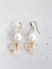 画像2: 14KGF pinkchalcedony　akoyapearl pierce (2)