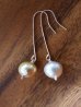 画像1: SILVER925 south sea pearl  pierce (1)