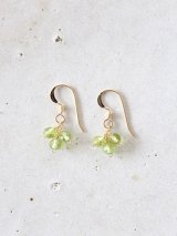 14KGF peridot  pierce