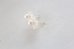 画像4: 14KGF shell pearl pierce (4)