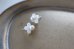 画像5: 14KGF shell pearl pierce (5)