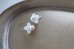 画像5: 14KGF shell pearl pierce (5)