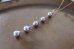 画像3: 14KGF  South Sea Pearl5連　necklace (3)