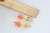 画像3: 14KGF coral pierce (3)