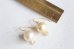 画像5: 14KGF south sea pearl  pierce (5)