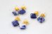 画像5: 14KGF Golden Tiger’s Eye sodalite  pierce