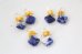 画像4: 14KGF Golden Tiger’s Eye sodalite  pierce