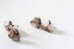 画像5: 14KGF  copper　calcite pierce