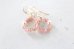 画像4: 14KGF pinkpearl muscovite pierce (4)