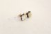 画像3: 14KGF  brown shell　pierce (3)