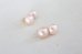 画像4: 14KGF  pinkpearl pierce (4)