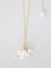 画像1: 14KGF　pearl  necklace (1)