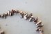 画像3: 14KGF keshipearl　bracelet (3)