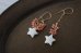 画像3: 14KGF ☆coral　pierce (3)