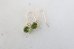 画像3: 14KGF peridot pierce (3)