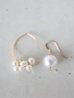 画像1: 14KGF pearl pierce (1)