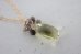 画像5: 14KGF lemon quartz　necklace