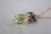 画像6: 14KGF lemon quartz　necklace