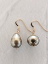 14KGF South Sea Pearl  pierce