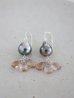 画像1: SILVER925　South Sea Pearl  pierce (1)